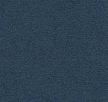 Ковролин Radici Nexus Blu 8262 фото 1 | FLOORDEALER